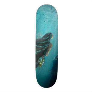 Skate da sirene