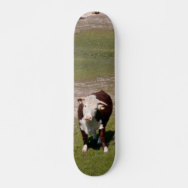Skate da vaca (Frente)