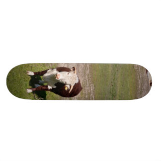 Skate da vaca