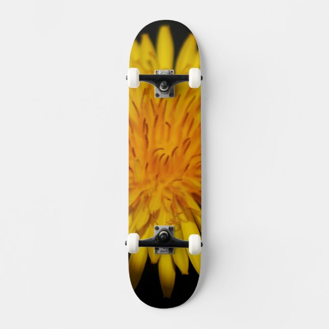 Skate Dandelion Flower sdcna (Frente)