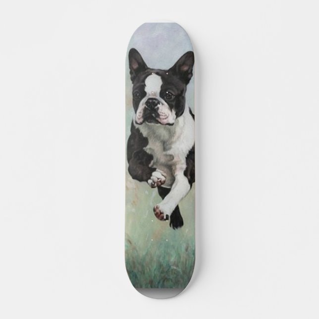 Skate de Boston Terrier (Frente)