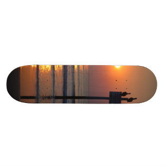 Skate de Daytona Beach FL do oceano do nascer do