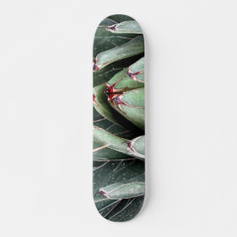 Skate de Fotografia da Agave Aloe Vera Plant