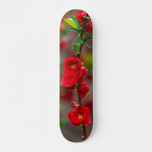 skate de linha escarlate