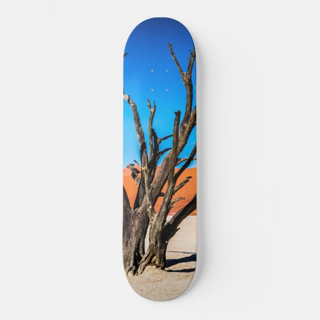 Skate Dead tree in Deadvlei, Namibia (Frente)
