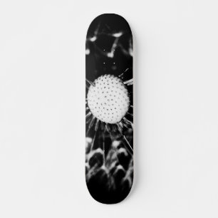 Skate dente-de-leão preto