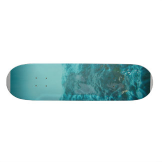 Skate Design do oceano