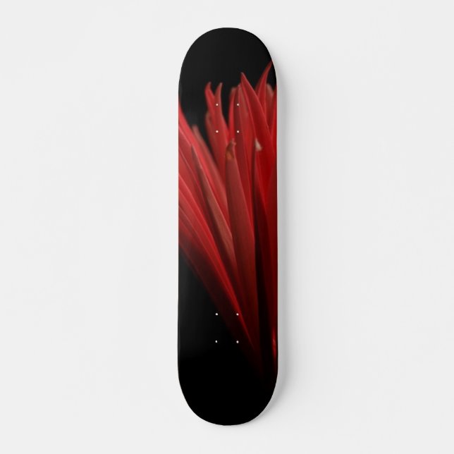 Skate Design do vermelho e do preto (Frente)