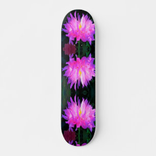 Skate Deslumbrante Cactus Dahlia Rosa e Roxo