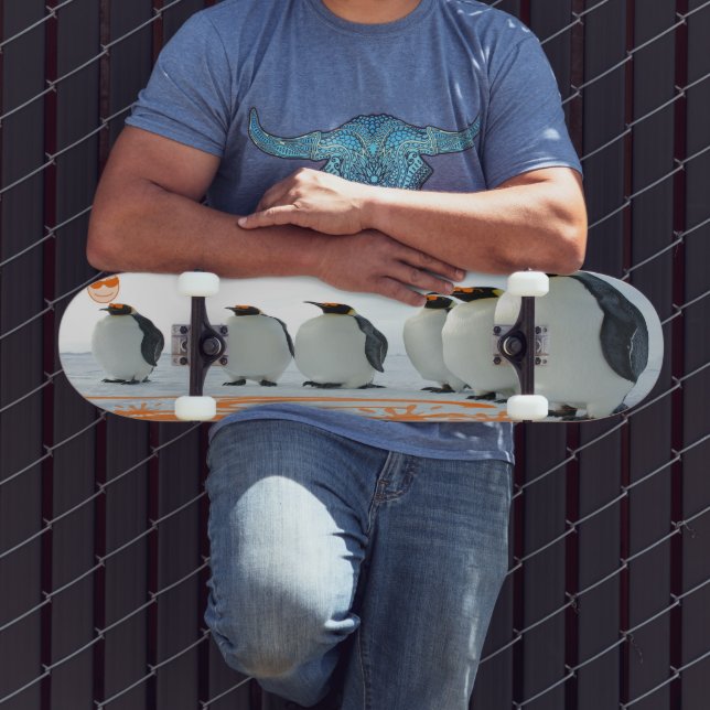 Skate Diversão Pinguim No Sol (Ao ar livre 3)