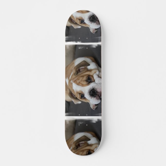 Skate do buldogue do sono (Frente)