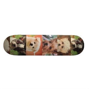 Skate do cão