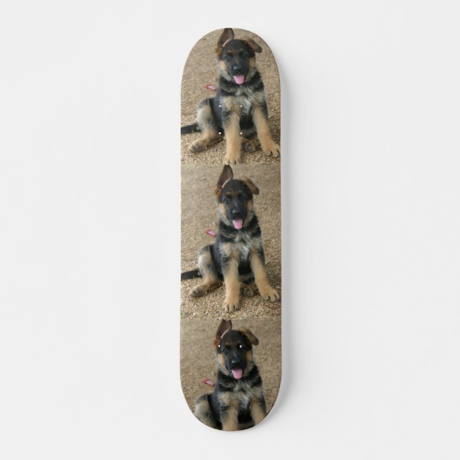 Skate do cão de filhote de cachorro do german (Frente)