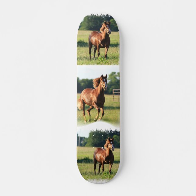 Skate do cavalo da castanha (Frente)