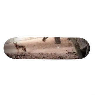 Skate do CHACAL