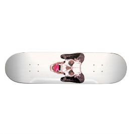 Skate do crânio