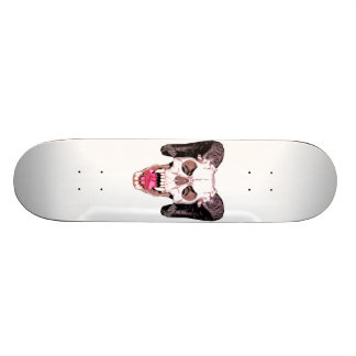 Skate do crânio