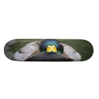 skate do pato 2