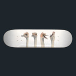 Skate Do "pintura engraçada das avestruzes da rainha<br><div class="desc">Esta é uma pintura de uma avestruz que eu me encontrei no jardim zoológico de Como em St Paul,  manganês. Era realmente expressivo e era um grande assunto para tomar imagens de. Mais tarde eu pintei suas expressões diferentes na aguarela.</div>