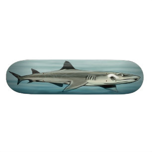 Skate do tubarão