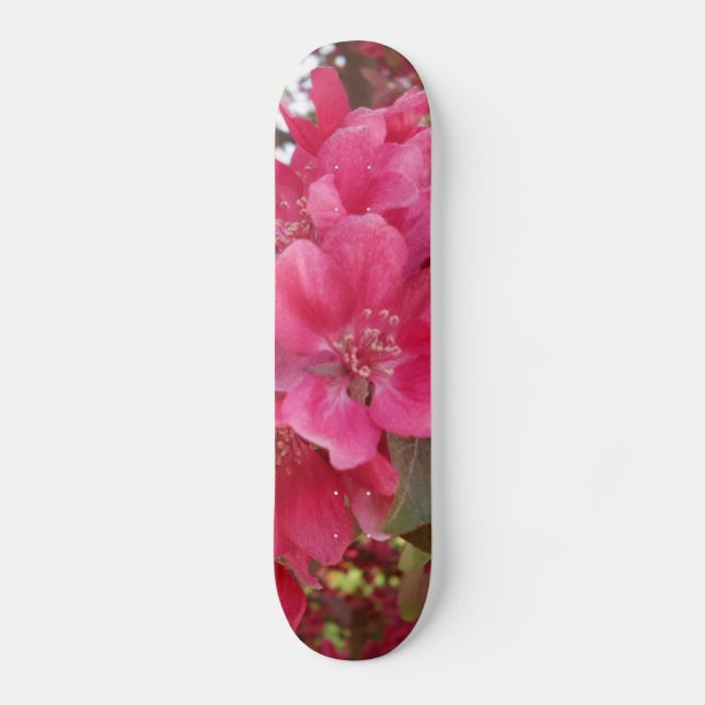 skate do ventilador da primavera (Frente)