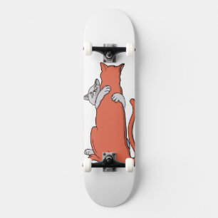 Skate Dois Gatos Embrçam a Amizade