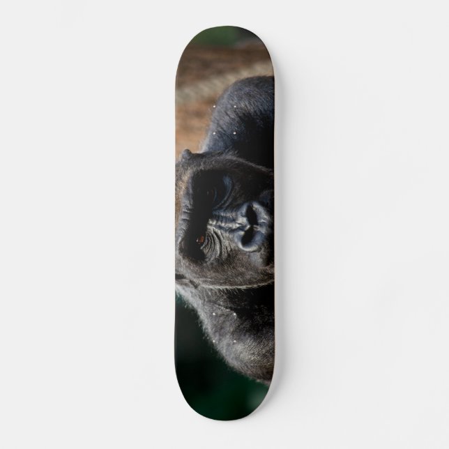 Skate Dominante Gorilla Ape (Frente)
