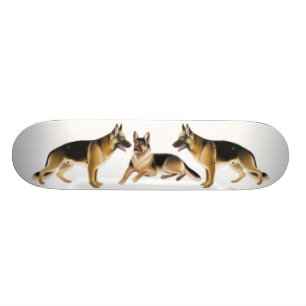 Skate dos german shepherd