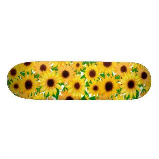 Skate dos girassóis do país