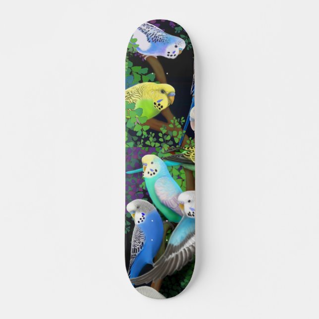 Skate dos Parakeets de Budgie (Frente)