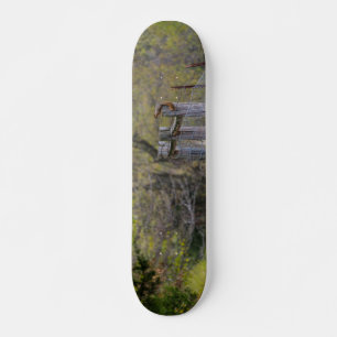 Skate Dose de Cerca de Esquilo