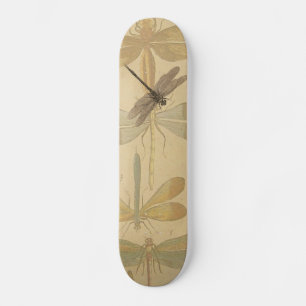 Skate Dragonfly Vintage Desenho Clássico Antiquado