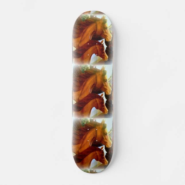 Skate éguas e pôneis (Frente)