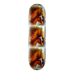 Skate éguas e pôneis