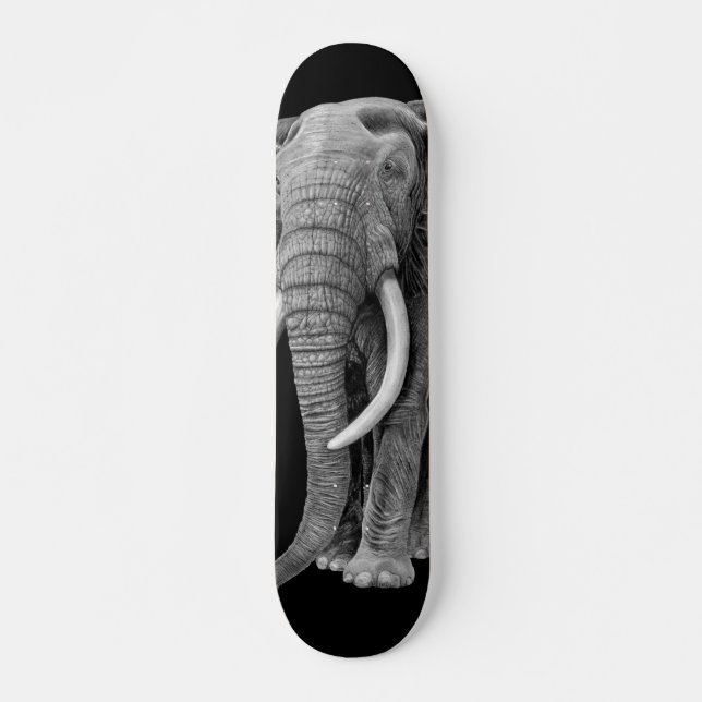 Skate Elefante-Bull - Desenho em tábua-lápis (Frente)