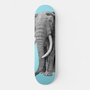 Skate Elefante-Bull - Desenho em tábua-lápis