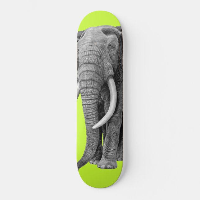 Skate Elefante-Bull - Desenho em tábua-lápis (Frente)