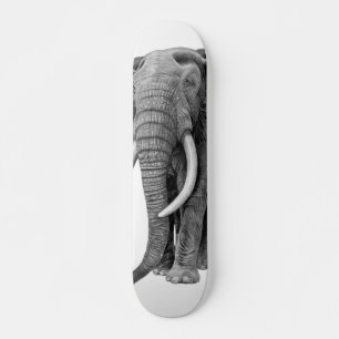 Skate Elefante-touro - Desenho a lápis