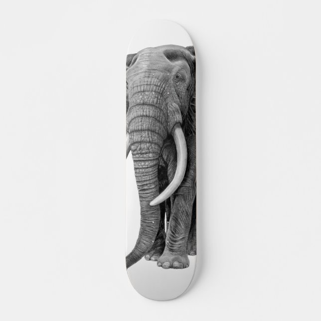 Skate Elefante-touro - Desenho a lápis (Frente)