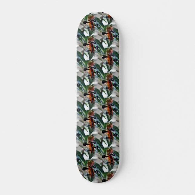 Skate Elegante Violin Scroll (Frente)