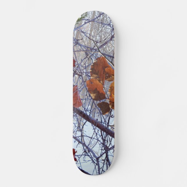 Skate Estilo da Camuflagem de Inverno da Primeira Neve (Frente)
