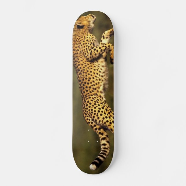Skate estilo do cheeta (Frente)