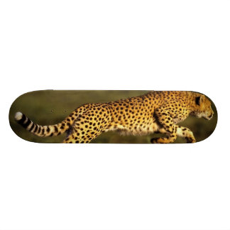 Skate estilo do cheeta