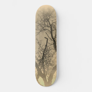 SKATE ESTILO E DESIGN