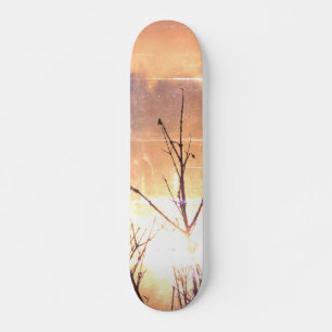 SKATE ESTILO E DESIGN