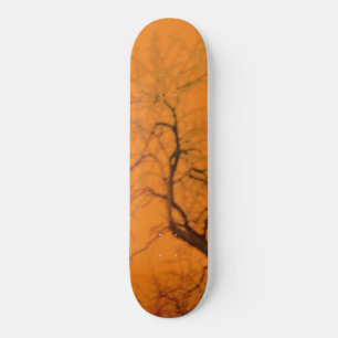 SKATE ESTILO E DESIGN