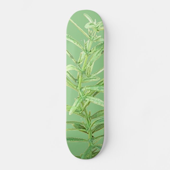 SKATE ESTILO E DESIGN (Frente)