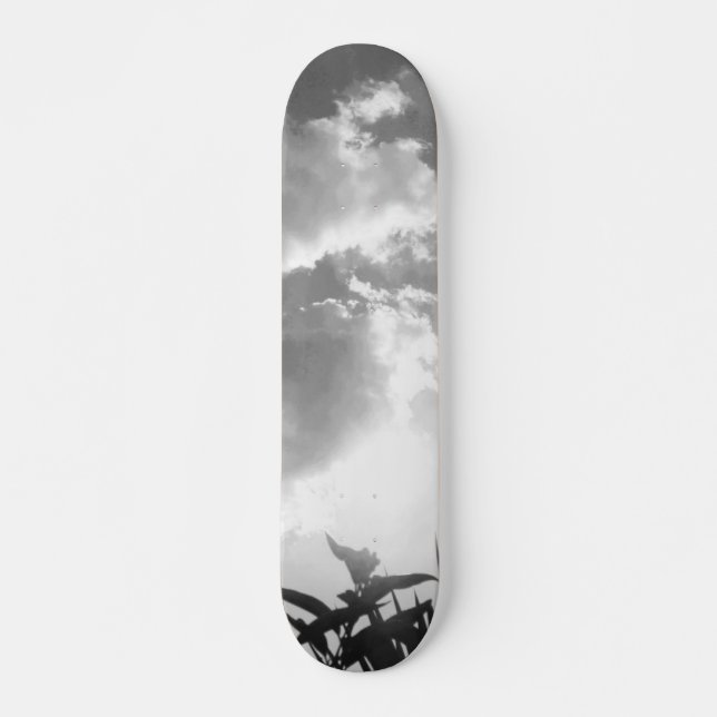 SKATE ESTILO E DESIGN (Frente)