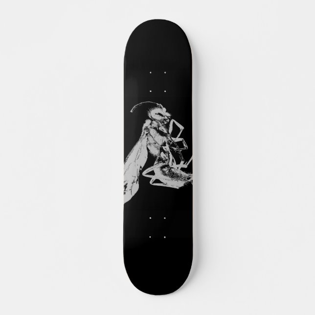 Skate Estilo preto e branco minimalista Insetos Insetos  (Frente)