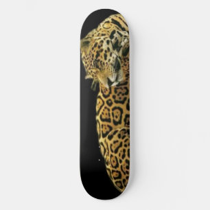 Skate Estrada Jaguar